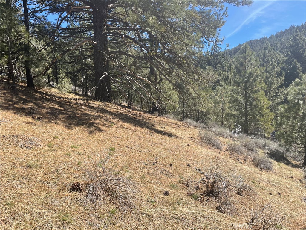 0 Matterhorn Property Photo 7