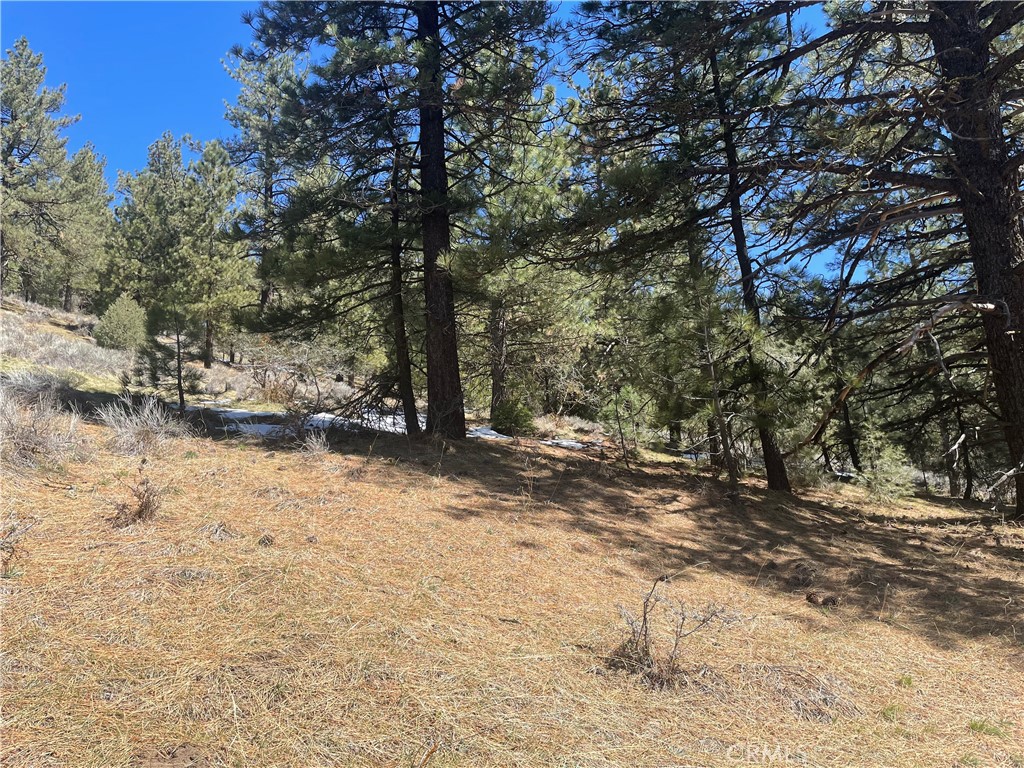 0 Matterhorn Property Photo 8