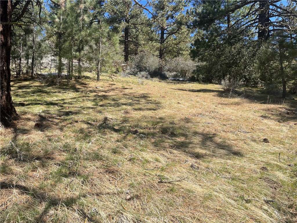 0 Matterhorn Property Photo 9