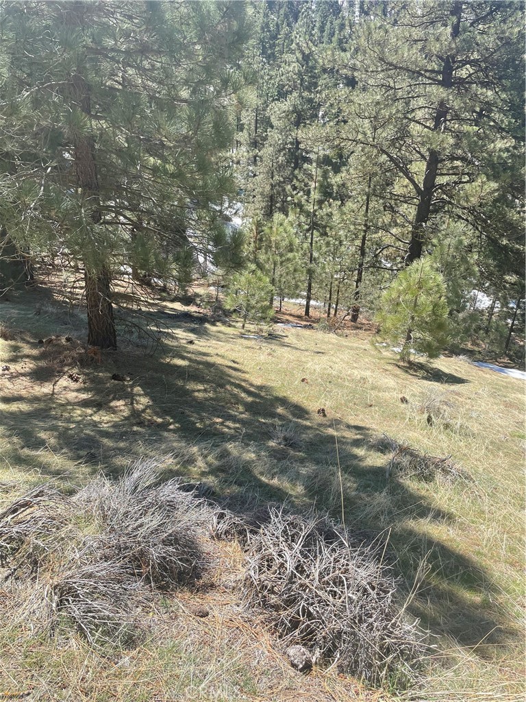 0 Matterhorn Property Photo 10