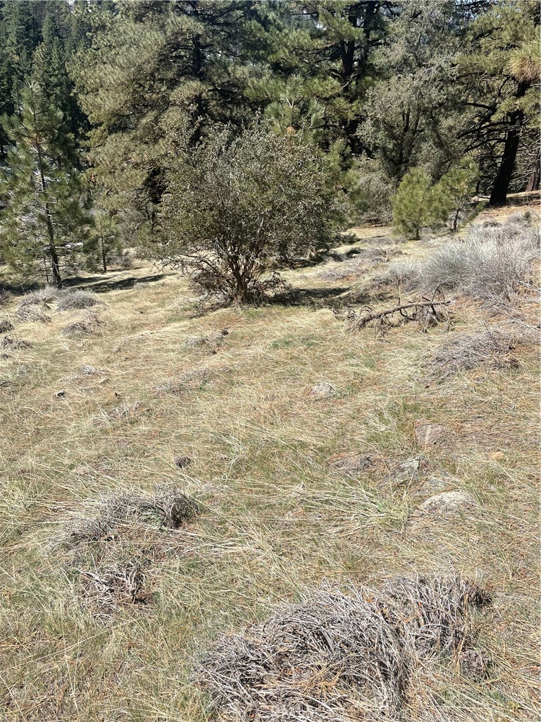 0 Matterhorn Property Photo 11