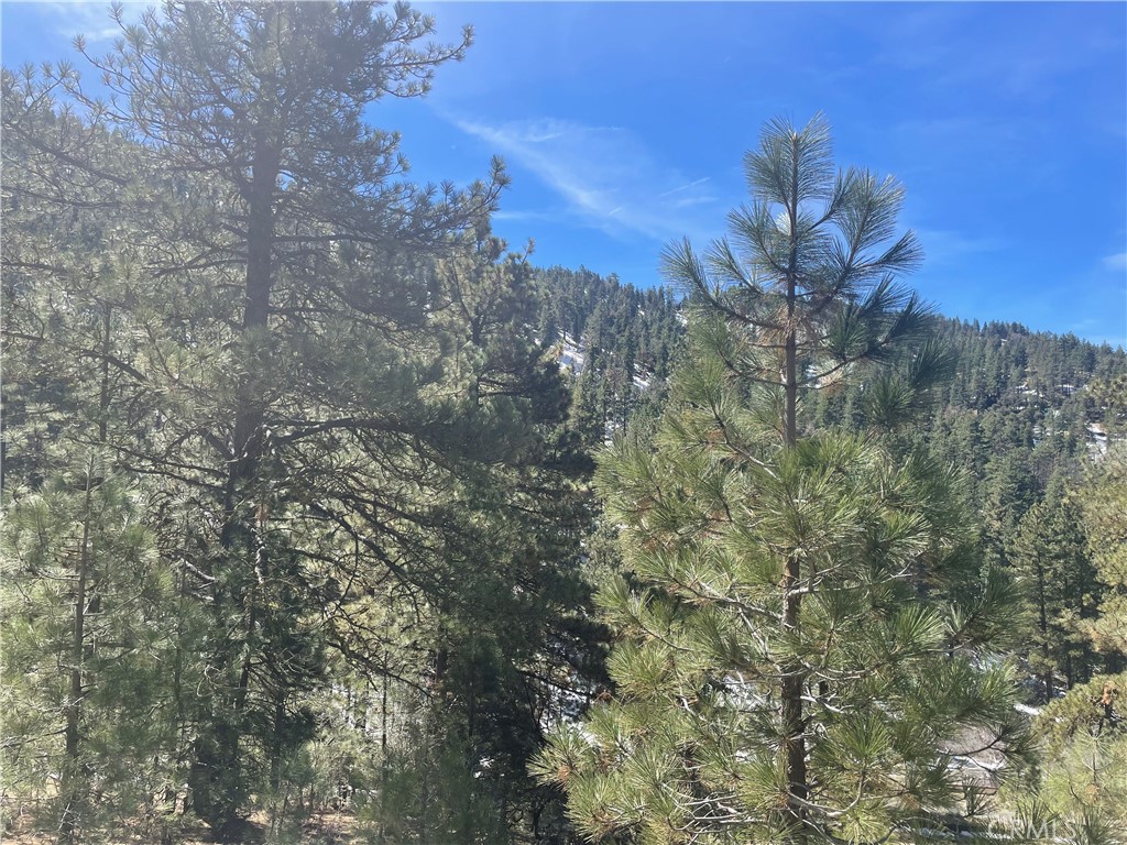 0 Matterhorn Property Photo 12