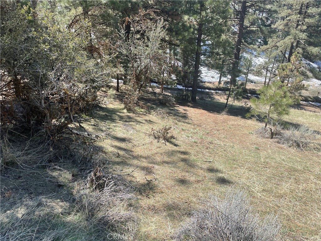 0 Matterhorn Property Photo 13