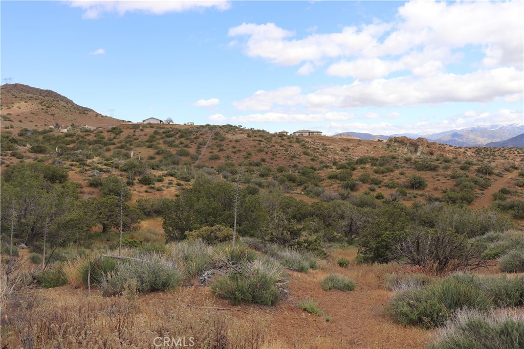 0 Vac/cor Mountain Spring/carrol Property Photo 13