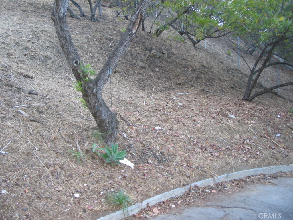3619 Goodland Property Photo 9