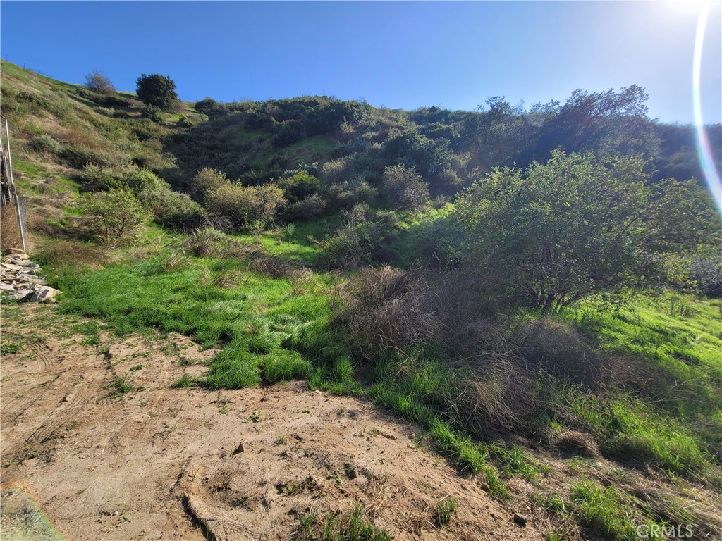0 North Trail Property Photo 6