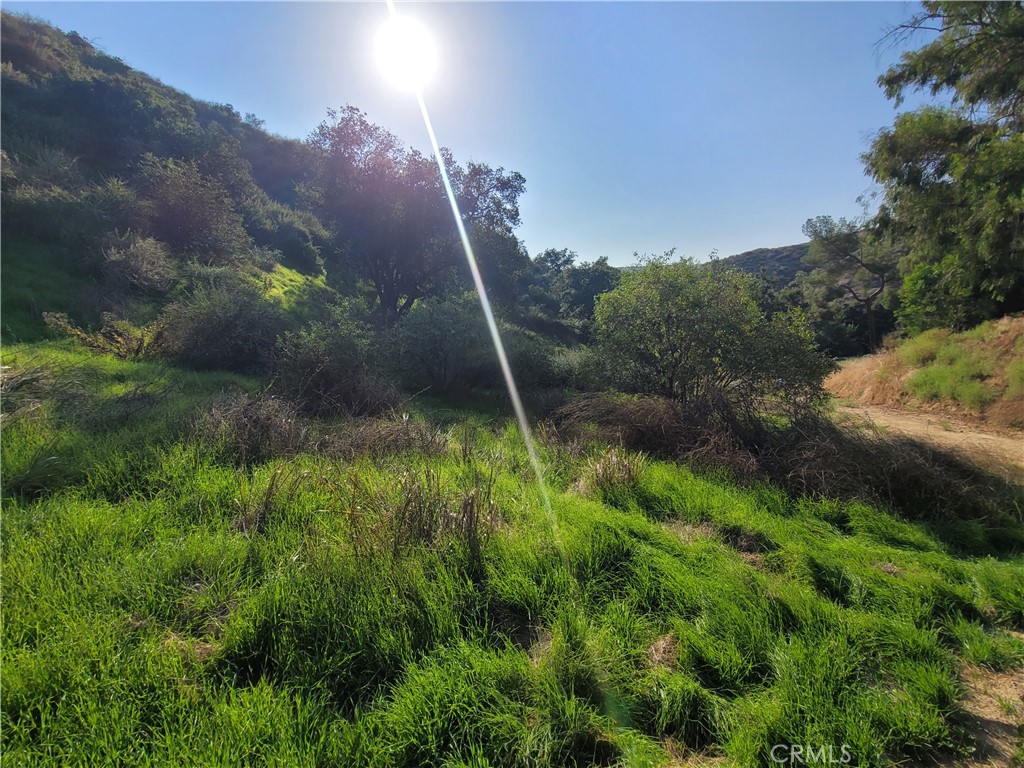 0 North Trail Property Photo 9