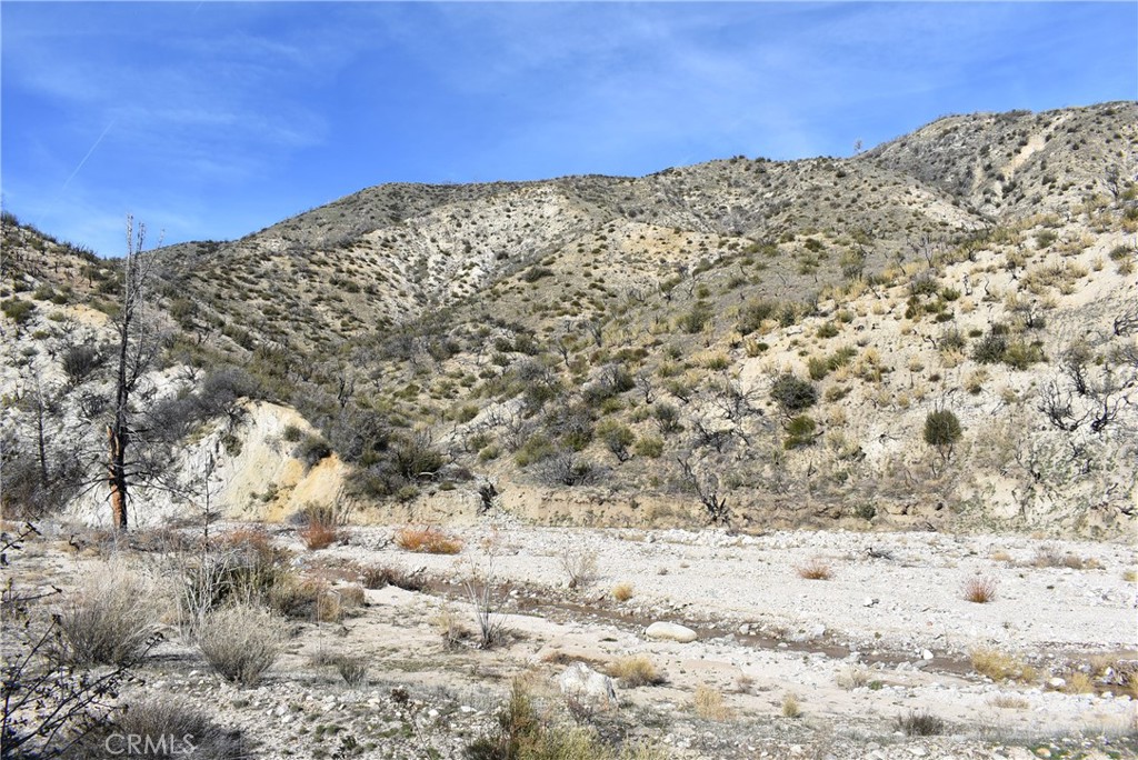 20811 Pine Canyon Road Property Photo 4