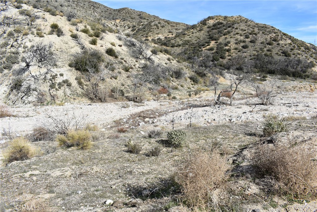 20811 Pine Canyon Road Property Photo 7