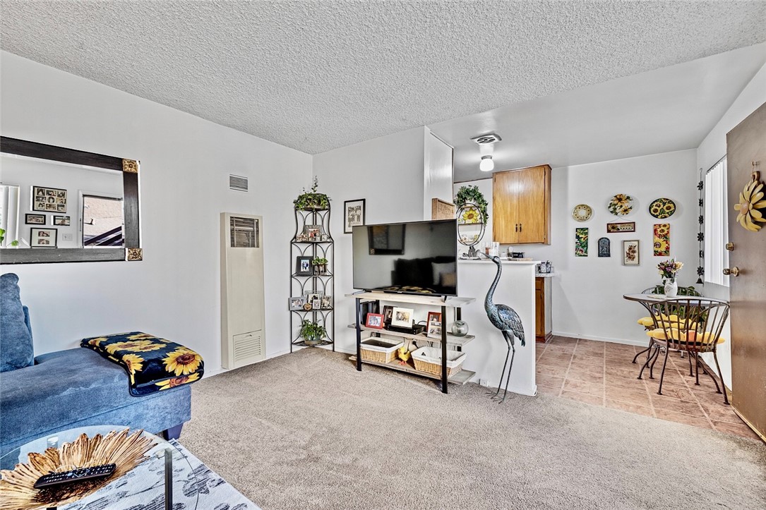 1516 E Maple Street Property Photo 43