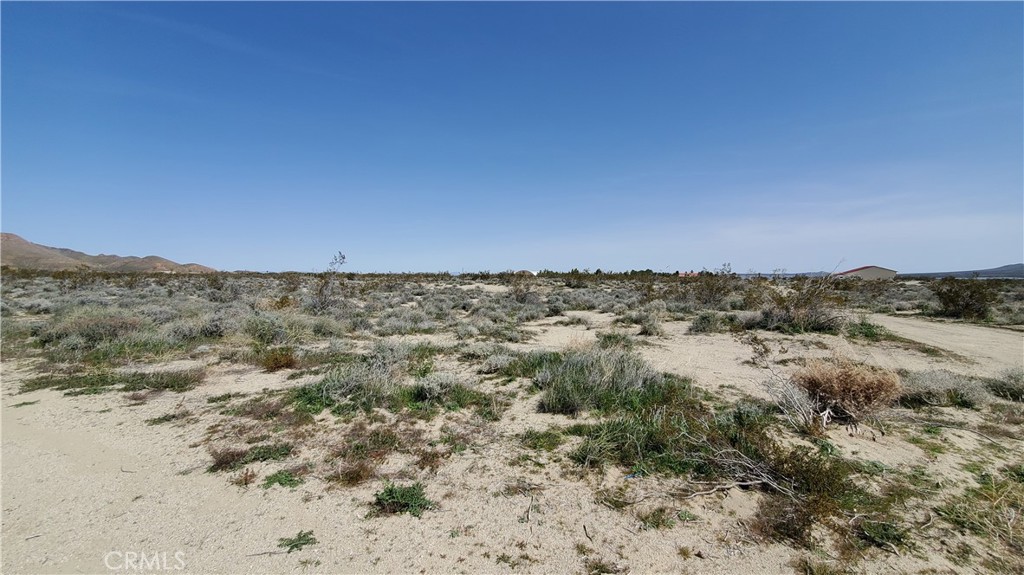 0 Vicinity 25th St W S/o Gibbs Property Photo 15