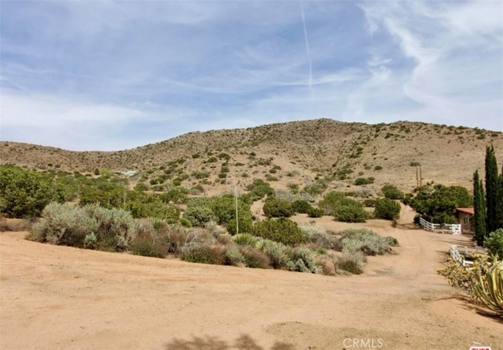 0 Vac/1/2 Mi N Sierra Hwy/i Mi E S Property Photo 11