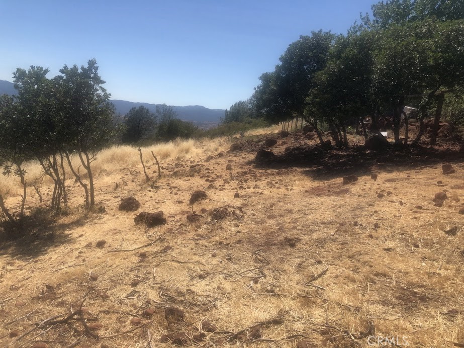 15927 Eagle Rock Road Property Photo 40