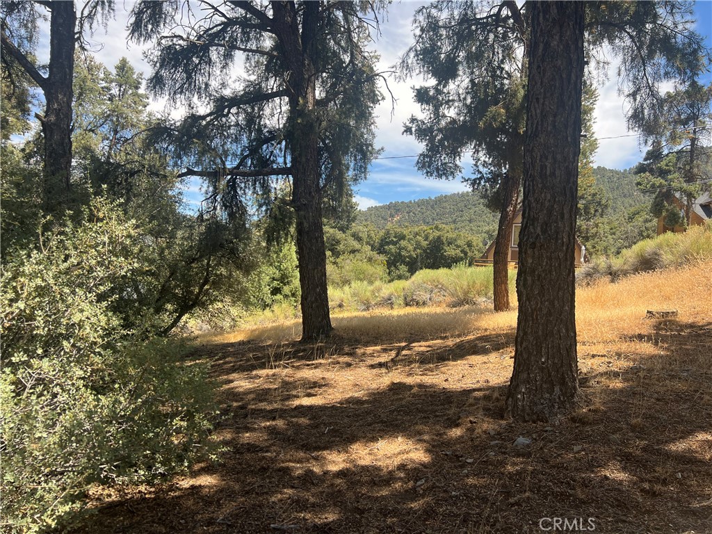 2721 Bryce Court Property Photo 2