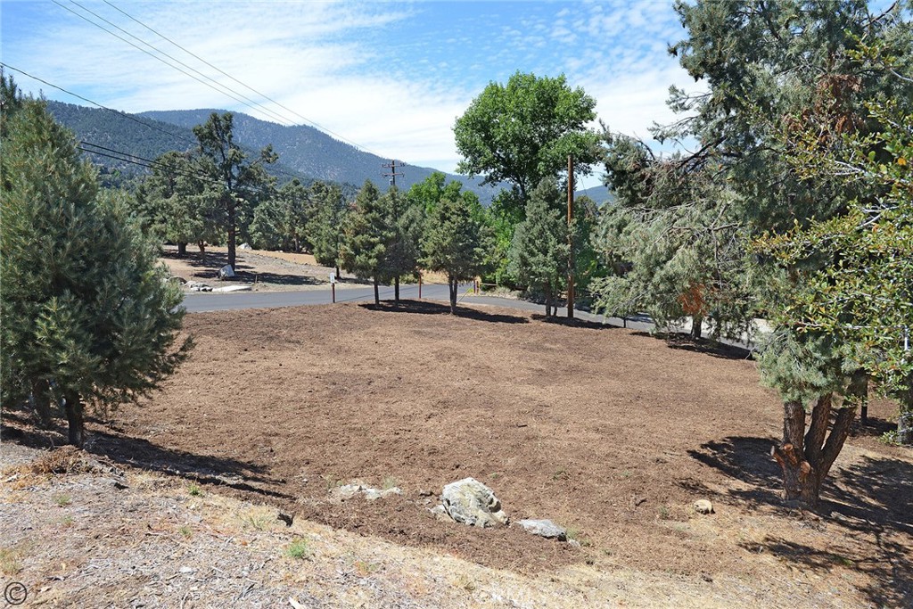 2029 St Bernard Drive Property Photo 2