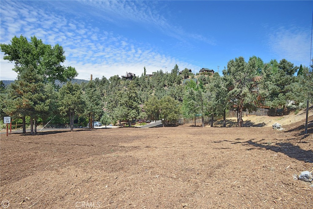 2029 St Bernard Drive Property Photo 3