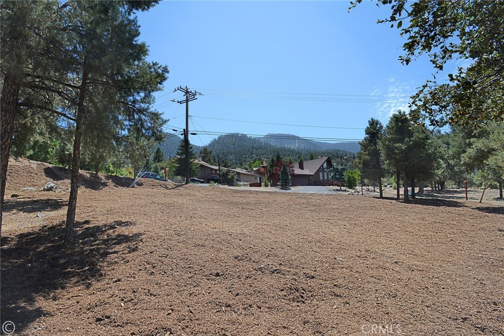 2029 St Bernard Drive Property Photo 4