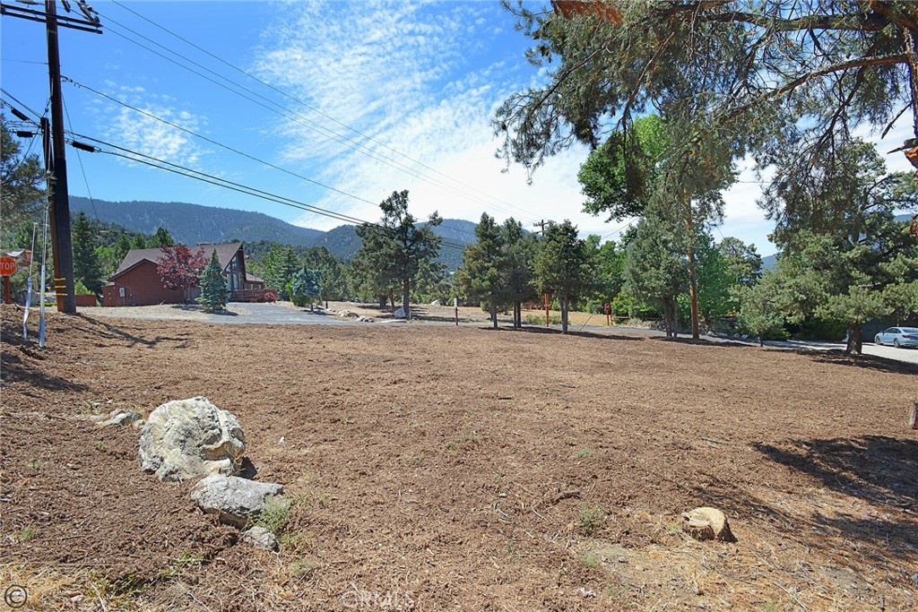 2029 St Bernard Drive Property Photo 5