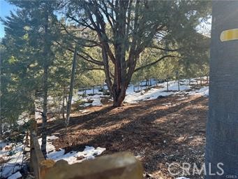 1604 Linden Drive Property Photo 3