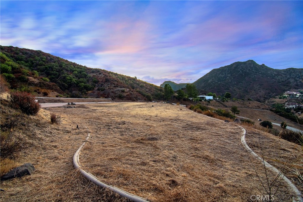 31700 Lobo Canyon Road Property Photo 7