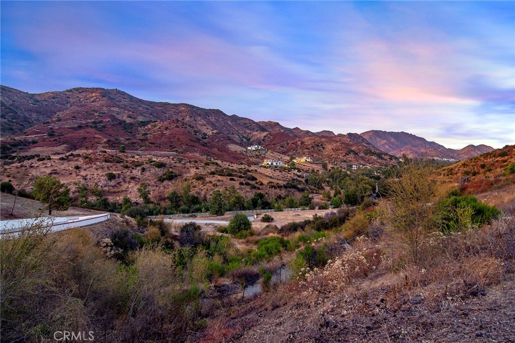 31700 Lobo Canyon Road Property Photo 12