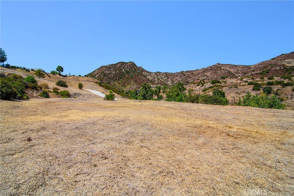 31700 Lobo Canyon Road Property Photo 20