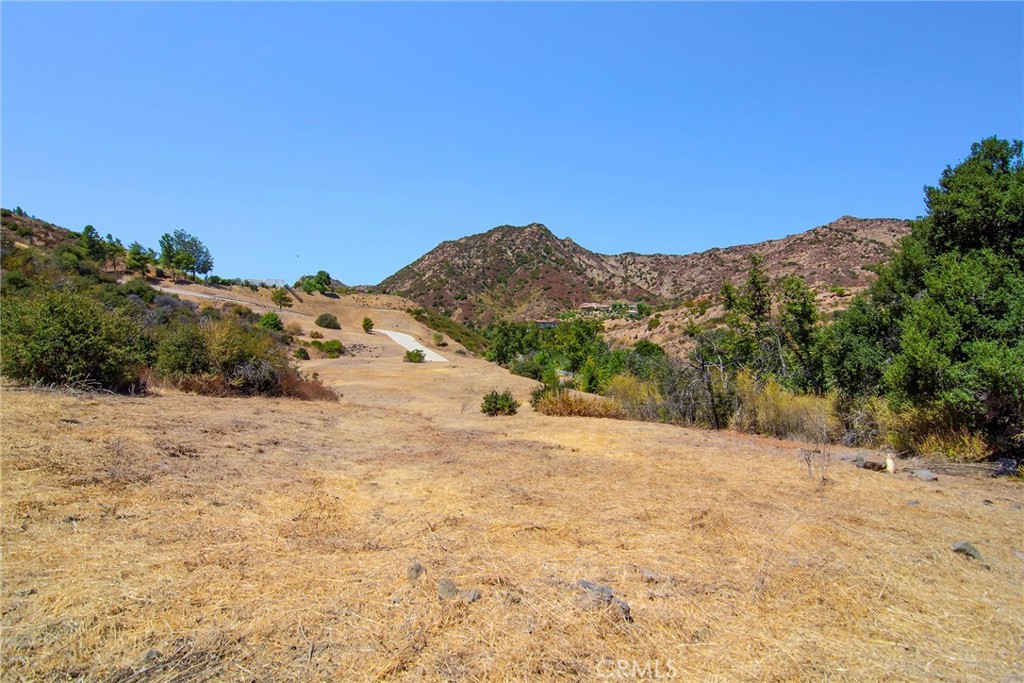 31700 Lobo Canyon Road Property Photo 21