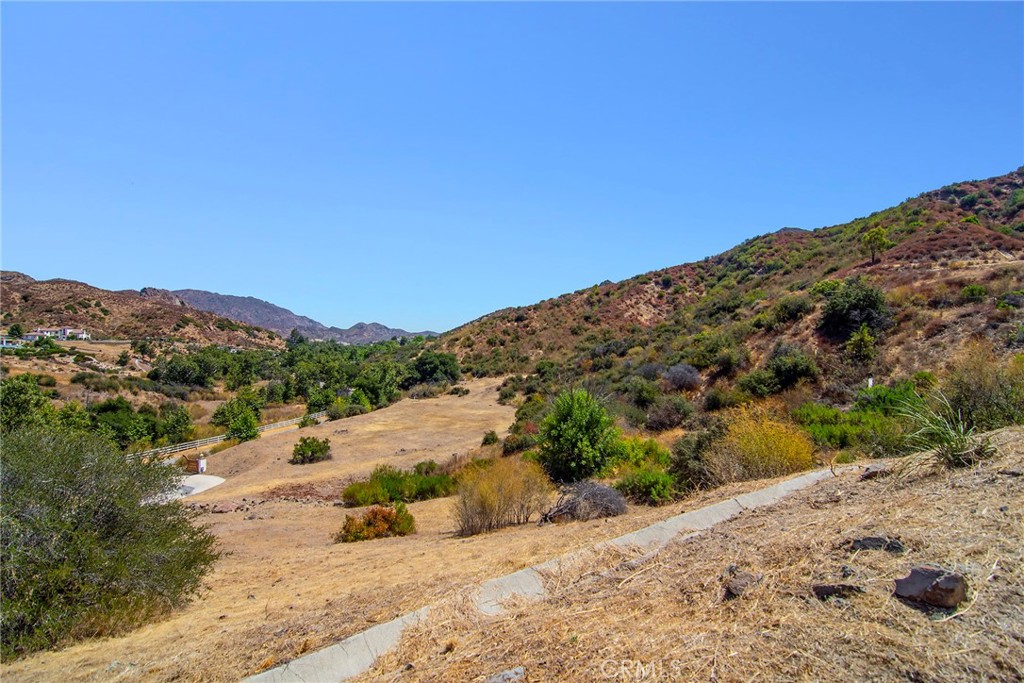31700 Lobo Canyon Road Property Photo 24
