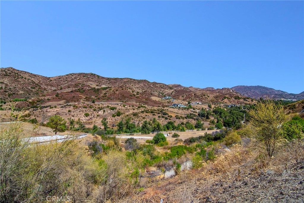 31700 Lobo Canyon Road Property Photo 26