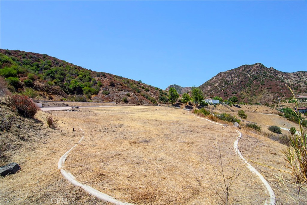 31700 Lobo Canyon Road Property Photo 35