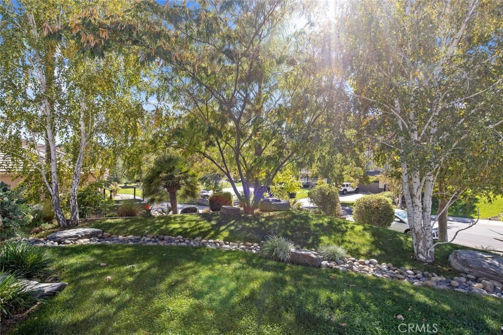 30433 Hidden Valley Court Property Photo 7