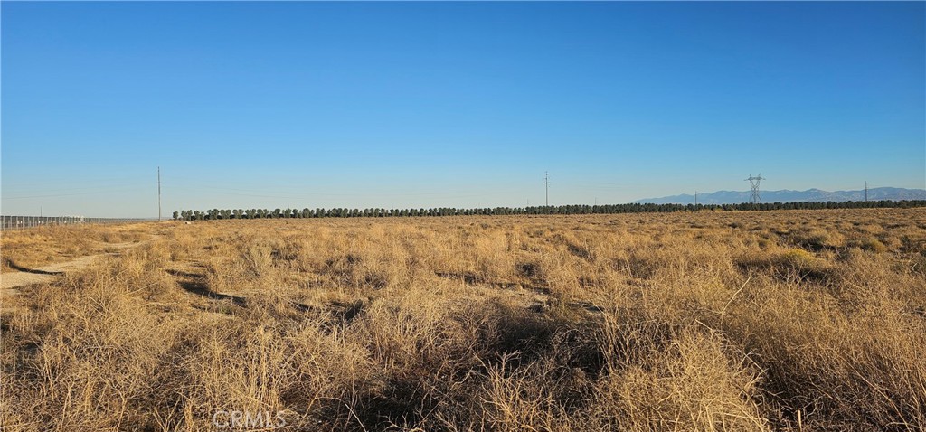 0 Willow Avenue Property Photo 2