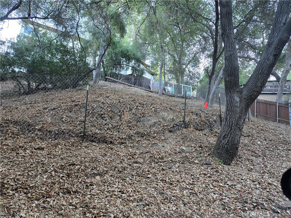 4216 Golondrina Property Photo 2