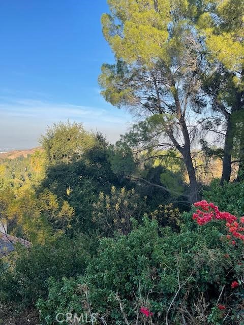4742 Bedel Street Property Photo 19