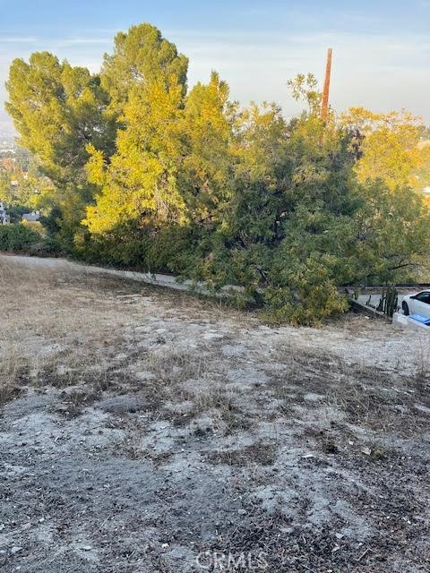 4742 Bedel Street Property Photo 21