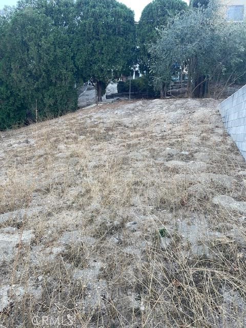 4742 Bedel Street Property Photo 22