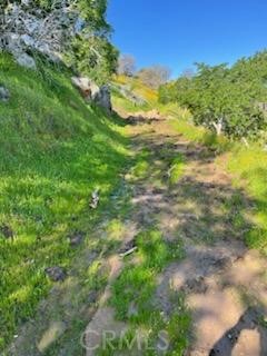 0 Pothole Road Property Photo 4