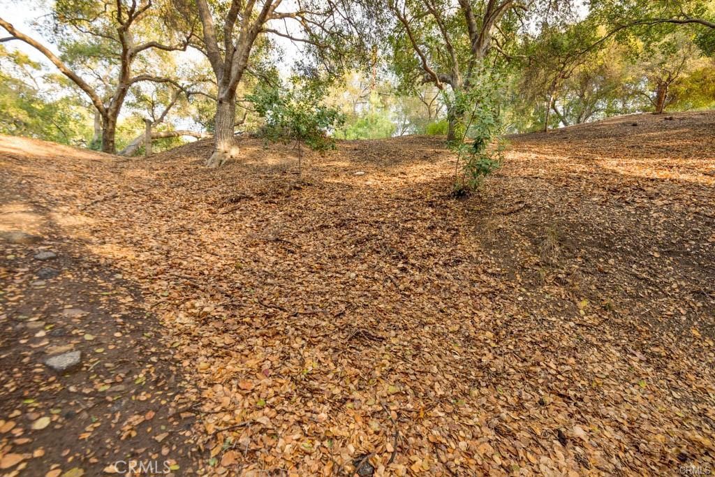 0 Elzevir Rd & Morro Dr Road Property Photo 20
