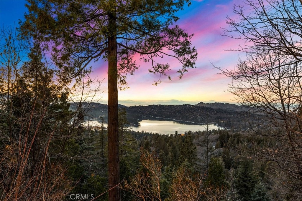 29162 Bald Eagle Ridge Rd Property Photo 40
