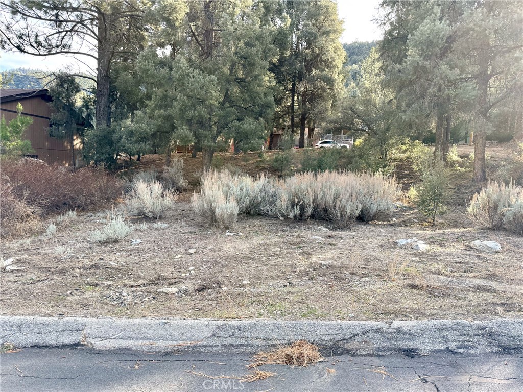 15500 Mil Potrero Hwy Property Photo 5