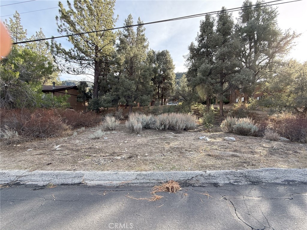 15500 Mil Potrero Hwy Property Photo 6