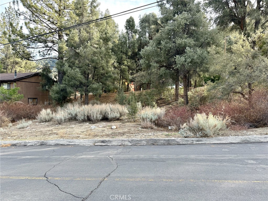 15500 Mil Potrero Hwy Property Photo 7