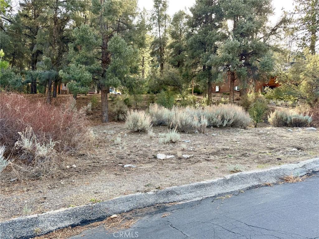 15500 Mil Potrero Hwy Property Photo 8