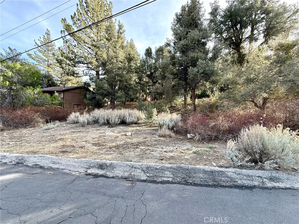 15500 Mil Potrero Hwy Property Photo 9