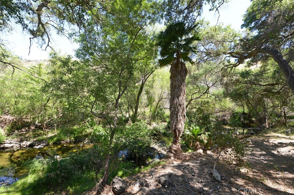 84 Sherwood Drive Property Photo 59