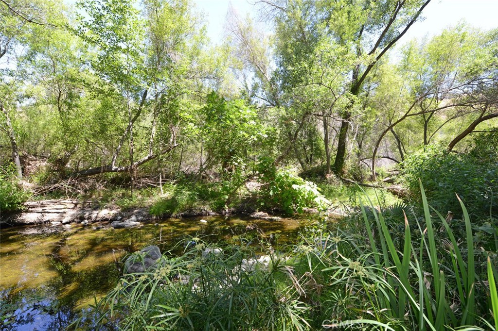 84 Sherwood Drive Property Photo 70