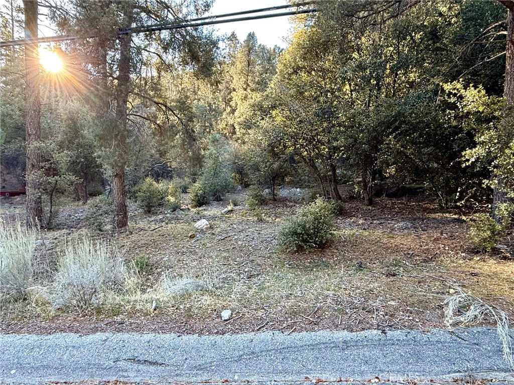 15718 Plum Way Property Photo 2