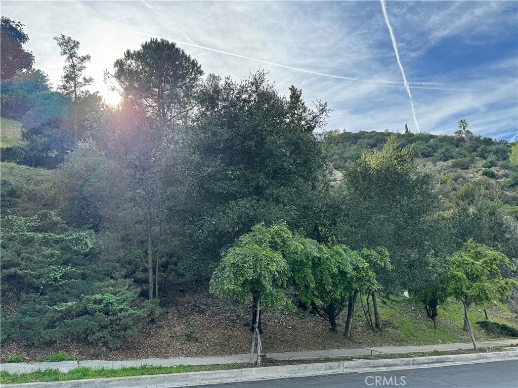 2485 Jupiter Property Photo 2