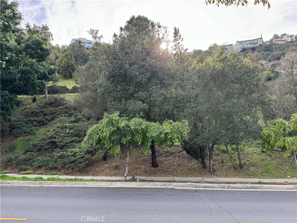 2485 Jupiter Property Photo 4