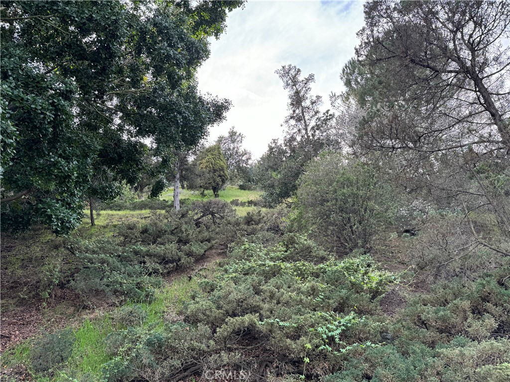 2485 Jupiter Property Photo 5